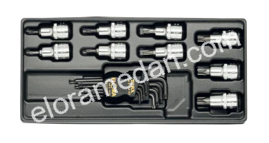MS-14-Modul-TORX®-Tools