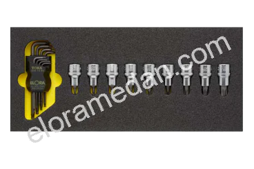 OMS-18-Module-TORX®-Tools